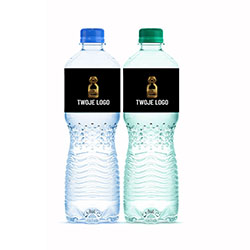Mineral water 500 ml still or sparkling - woda_500_bystra_wiz[1].png